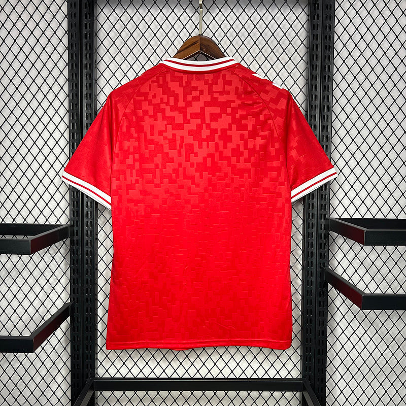 Shirt Denmark 24/25 - Home - Red
